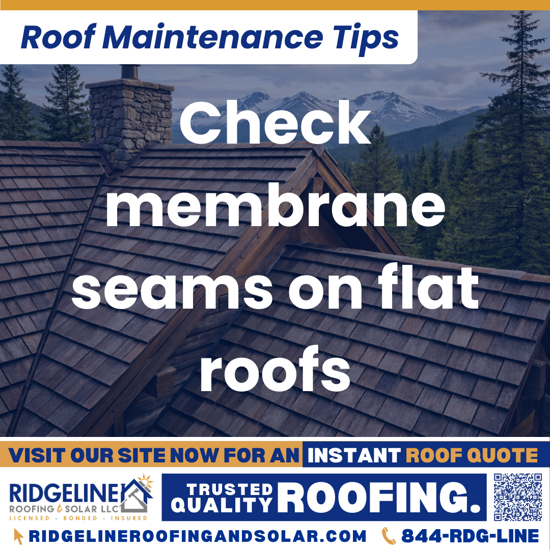 Check membrane seams on flat roofs Ridgeline Roofing and Solar Roof Maintenance Tip for Homeowners: Check membrane seams on flat roofs