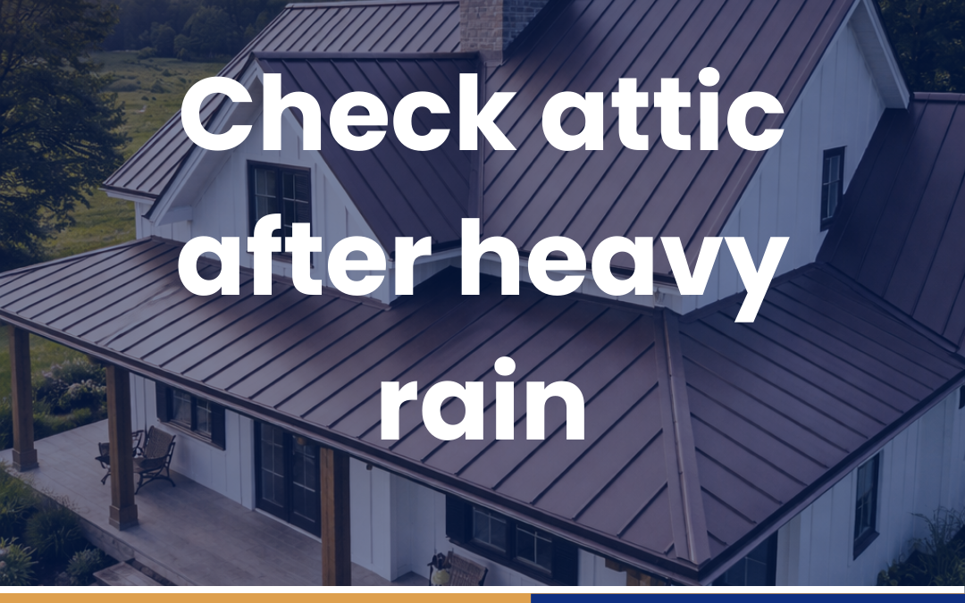 Check attic after heavy rain