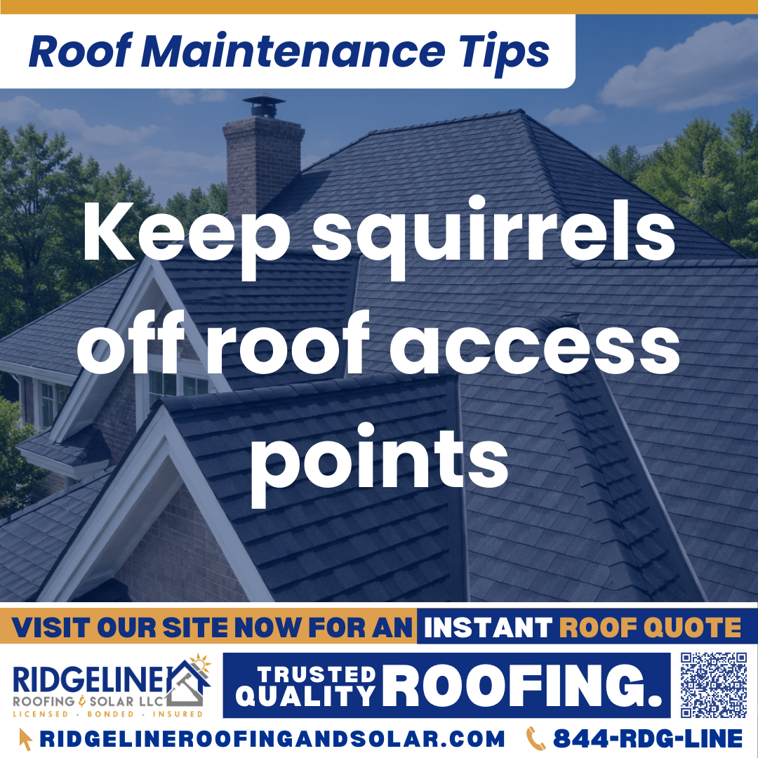 Keep squirrels off roof access points Ridgeline Roofing and Solar Roof Maintenance Tip for Homeowners: Keep squirrels off roof access points