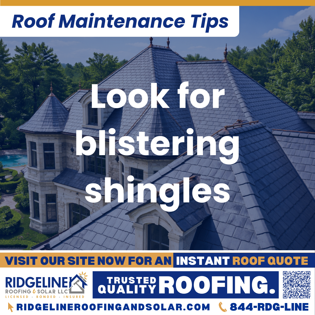 Look for blistering shingles Ridgeline Roofing and Solar Roof Maintenance Tip for Homeowners: Look for blistering shingles