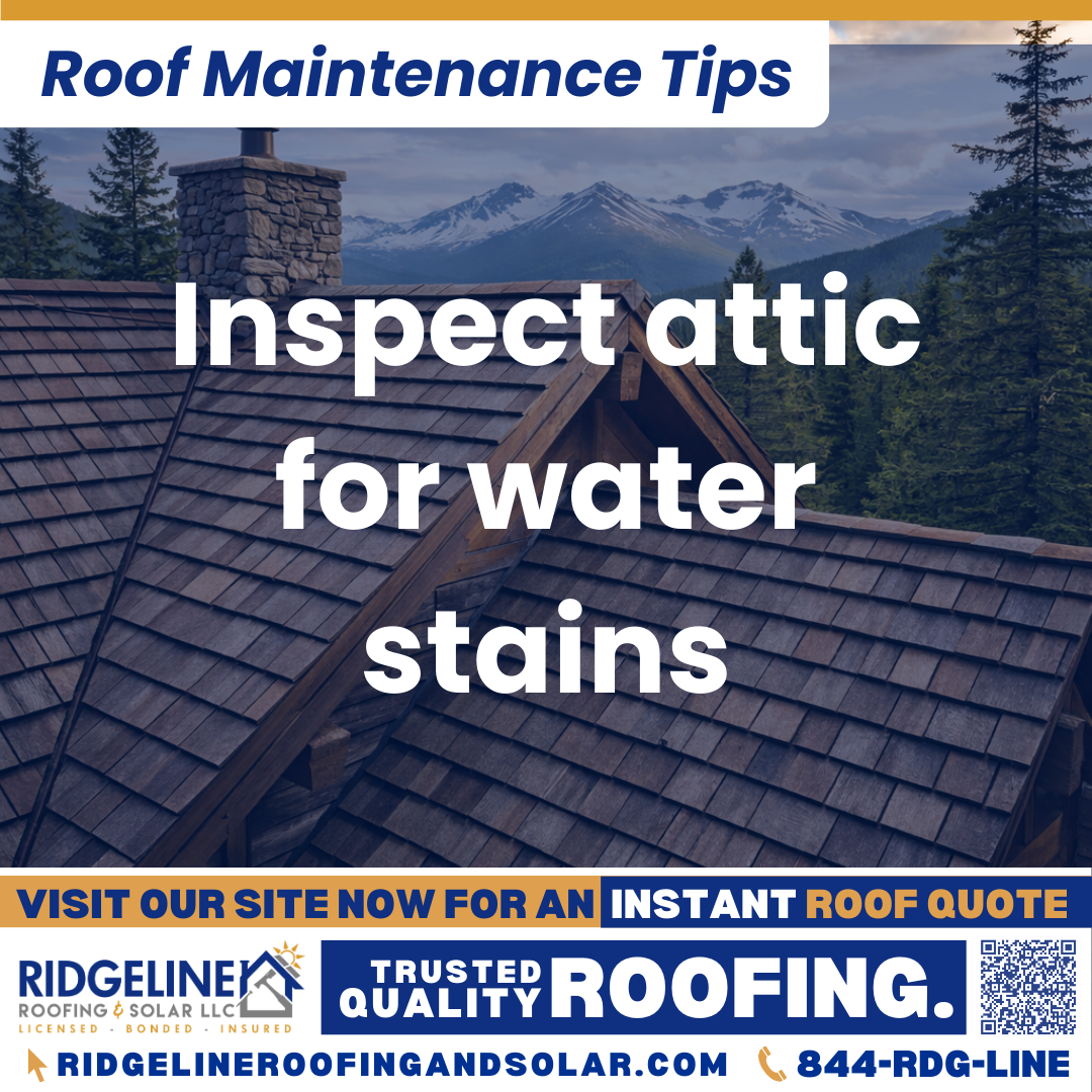 Inspect attic for water stains Ridgeline Roofing and Solar Roof Maintenance Tip for Homeowners: Inspect attic for water stains
