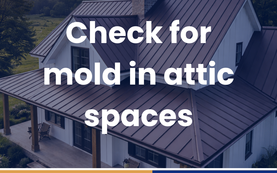 Check for mold in attic spaces