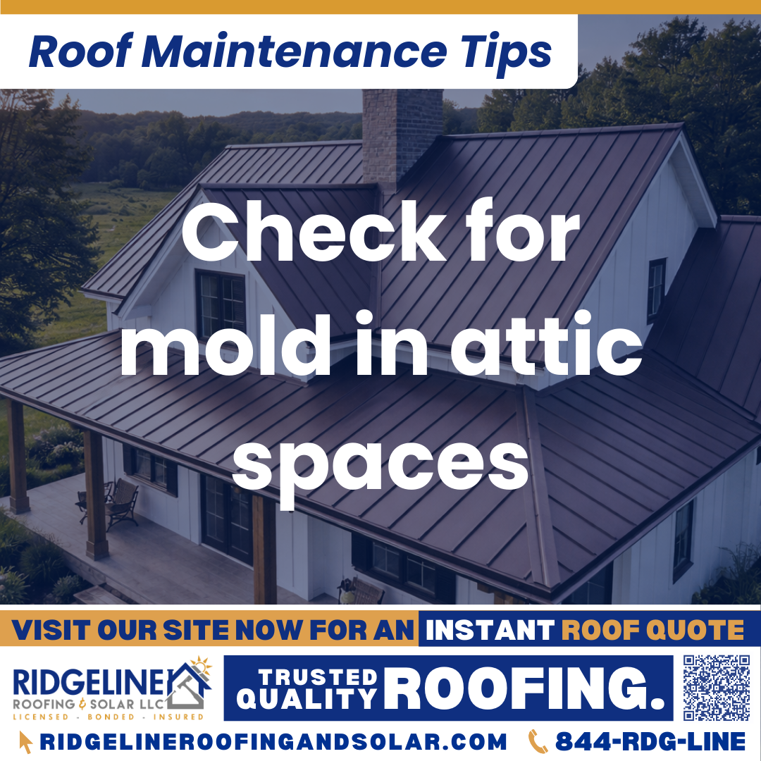 Check for mold in attic spaces Ridgeline Roofing and Solar Roof Maintenance Tip for Homeowners: Check for mold in attic spaces