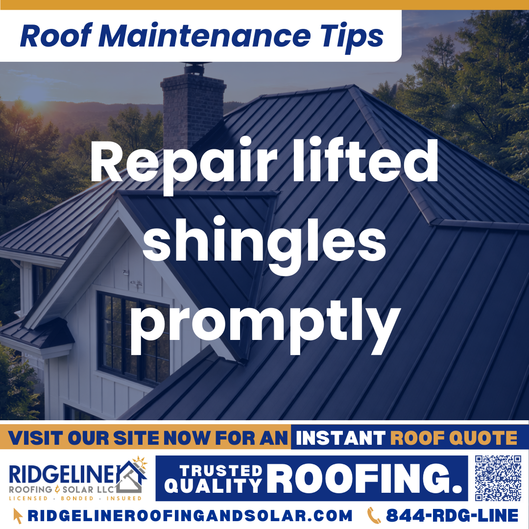 Repair lifted shingles promptly Ridgeline Roofing and Solar Roof Maintenance Tip for Homeowners: Repair lifted shingles promptly