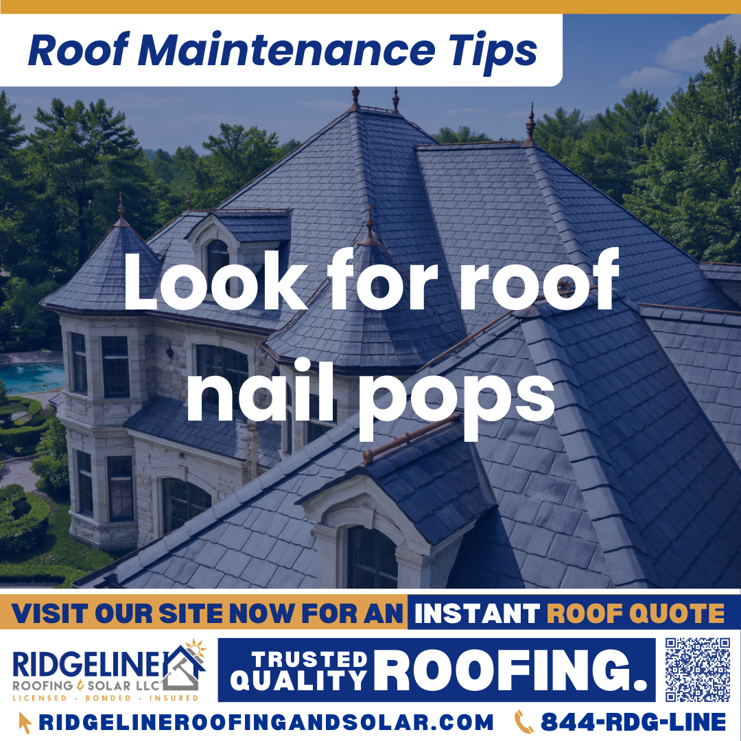 Look for roof nail pops Ridgeline Roofing and Solar Roof Maintenance Tip for Homeowners: Look for roof nail pops