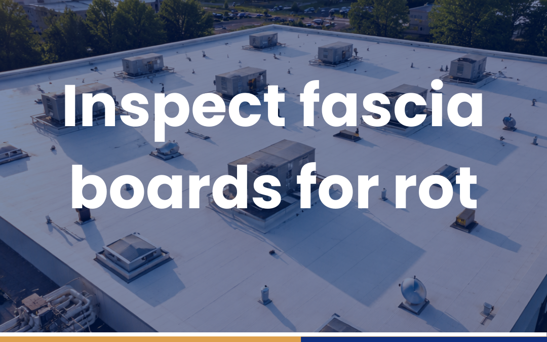 Inspect fascia boards for rot
